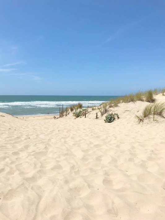 Slow work à Biscarrosse