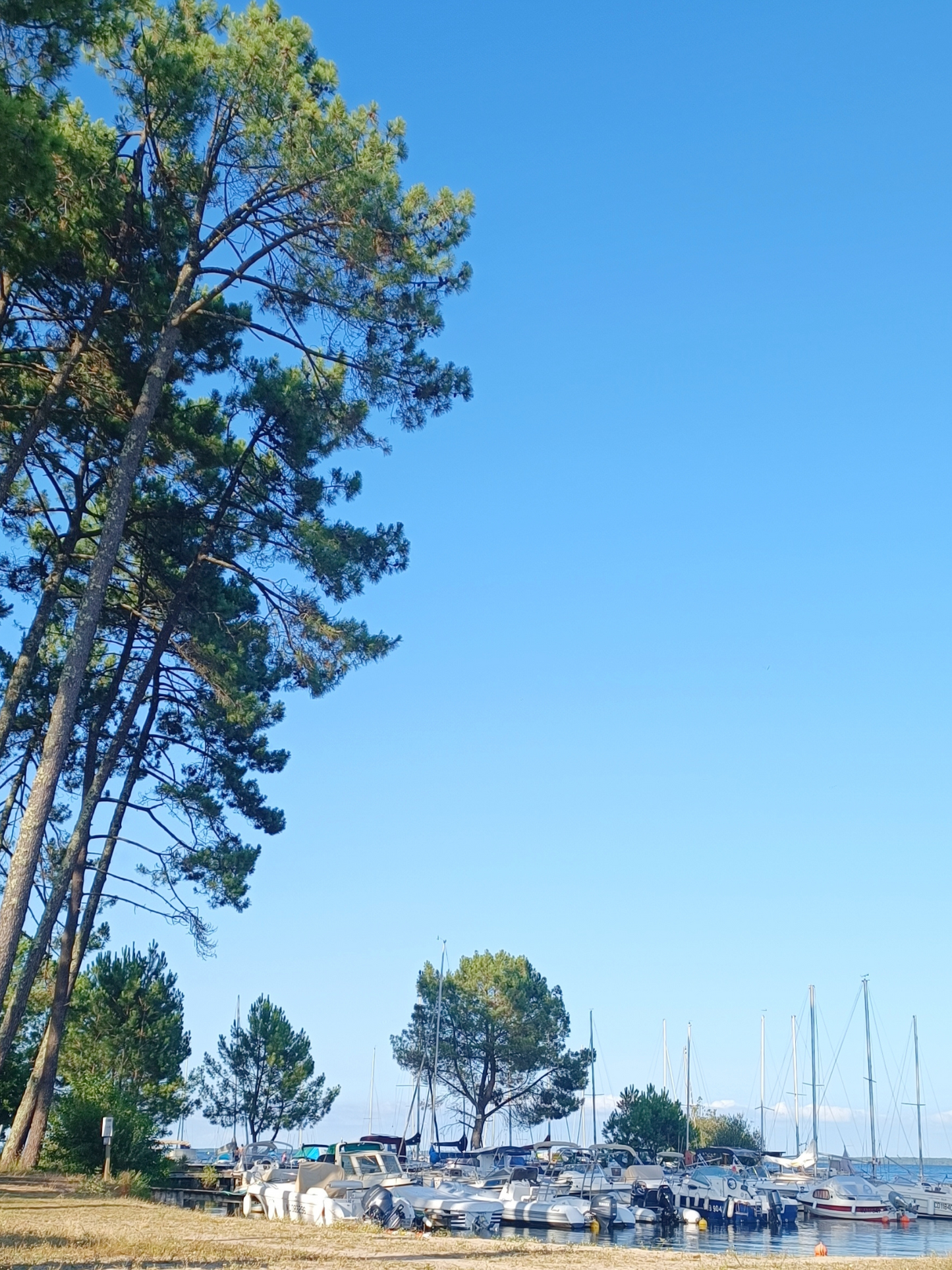 Slow work à Biscarrosse, 4 et 5 octobre