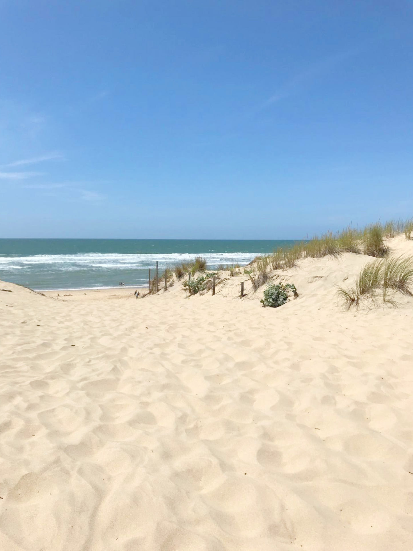 Slow work à Biscarrosse, 4 et 5 octobre